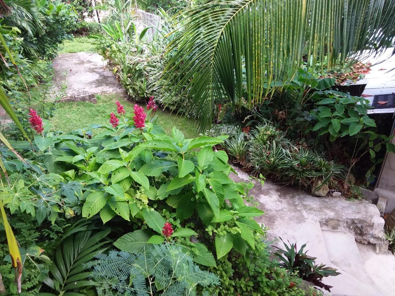 Port Antonio Brian'S Beach House Exterior foto