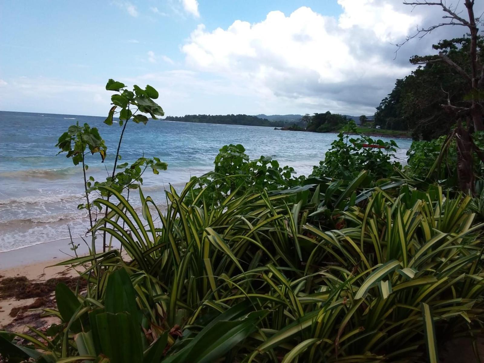 Port Antonio Brian'S Beach House Exterior foto